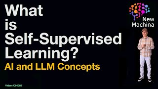 What is Self-Supervised Learning ?