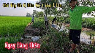 Chú Bị Rắn Độc C.ắng 1 Lần Hiện Giờ Chú Vẫn Còn Ám Ảnh | Mười Thương Săn Bắt