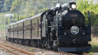 【汽笛あり】 C61-20+旧客6両+EF65-501  SLぐんま よこかわ 横川〜西松井田通過