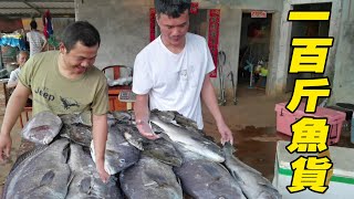 阿锋误入海底鱼窝，遭遇无数大鱼挑衅被动发财，渔获摆满现场卖鱼【探海漁人】