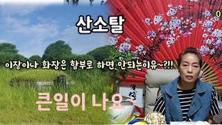 *{서울점집} 해주암: 산소탈이나면 후손들이 큰일이 난다~?!! 이장이나 화장도 잘못하면 문제~