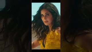 Salman Khan, Katrina Kaif _ Leke Prabhu Ka Naam Song | Tiger 3 (1)
