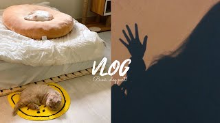 vlog | 유튜브는 처음이라.. , 첫 브이로그 🌱 | 취준생 | 20대후반 | 일상