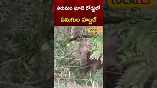 Elephants Hulchul at Tirumala Ghat Road | తిరుమల ఘాట్ రోడ్డులో ఏనుగుల హల్చల్ | #local18shorts