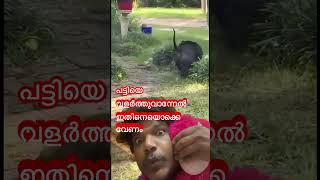 പട്ടിയെ വളർത്തുവാന്നേൽ ഇതിനെയൊക്കെ വേണം ..#dog #trending #shorts