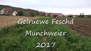 Münchweier: Gelruewe Feschd 2017