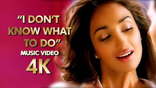 “I Dont Know What To Do” | 4K Music Video | 2010 Housefull Movie | B4K