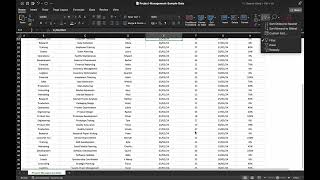 TechnoHacks Internship - Task 1 | Data Cleaning in Excel
