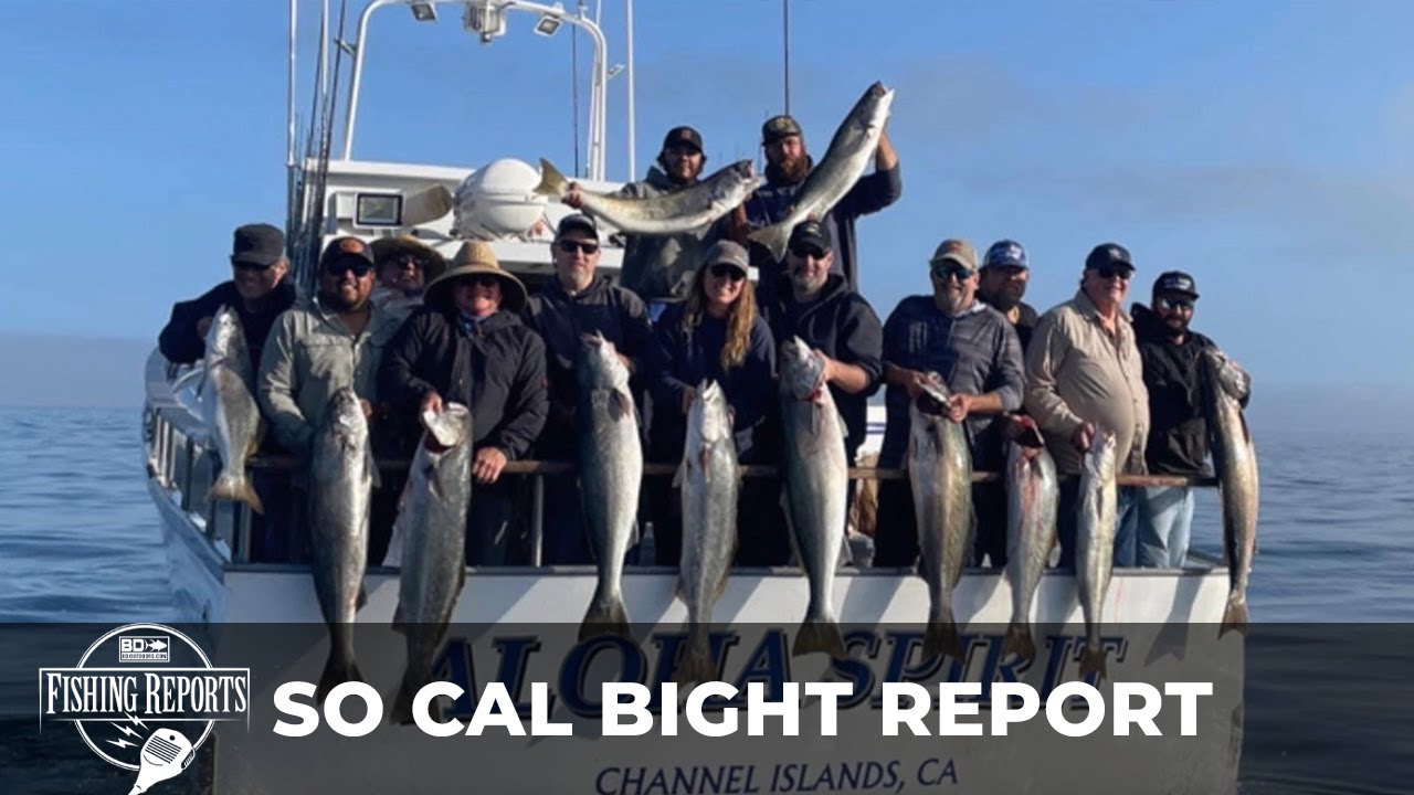 Southern California Bight FISHING REPORT 06/09/22 - YouTube