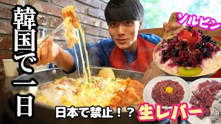 【生レバー】含め韓国グルメを1日食べ歩きました🇰🇷#韓国 #韓国グルメ