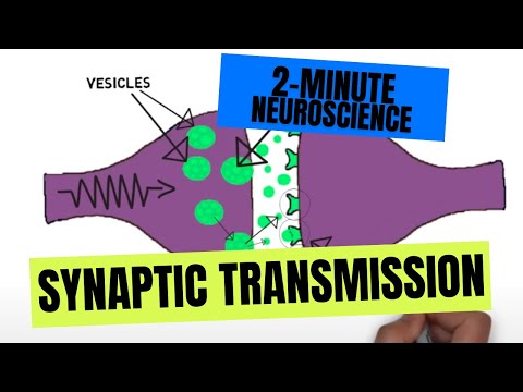 What is the opposite of presynaptic inhibition?