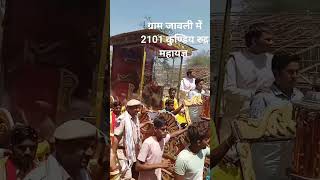 ग्राम जावली में 2101 कुण्डिय रुद्र महायज्ञ भण्डारा #monibaba #jawali #alwar