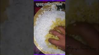 🔥রাজবংশী দেশী সুস্বাদু মাছ ভাত। Delicious Desi Rajbongshi Fish Rice #food #fish #eating