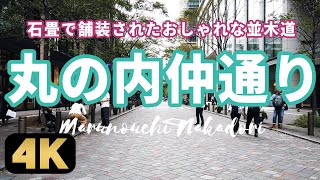 Walking Marunouchi Naka-Dori Street in Chiyoda-ku, Tokyo.丸の内仲通りを散策