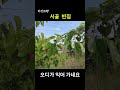 빈집귀향 시골 빈집 shorts