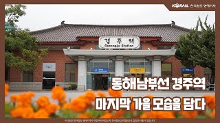 [한국철도x명예기자] 동해남부선 경주역, 마지막 가을 모습을 담다