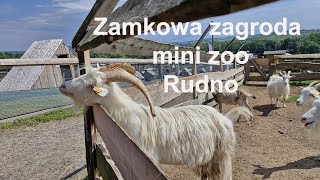 Zamkowa zagroda mini zoo. Rudno. Małopolskie. Polska.