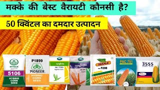 मक्के की बेस्ट वैरायटी | 50 क्विंटल उत्पादन | Best varieties of maize in india #maize #corn #variety