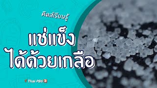 แช่แข็งชั่วพริบตาได้ด้วยเกลือ : คิดส์เรียนรู้ (4 ก.ค. 63)