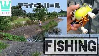 【バス釣り】バス釣りのはずが•••/ワタカが釣れた/アライくんリール/野良猫