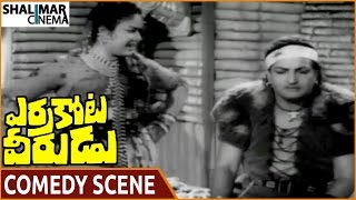 Errakota Veerudu Movie || NTR \u0026 Savitri Superb Comedy Scene || NTR, Savitri || Shalimarcinema