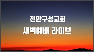 2024.12.31 새벽예배