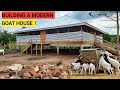 How To Construct  A Modern GOAT House And The COST| Simple And Easy !