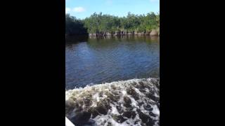 Everglades Airboot Tour