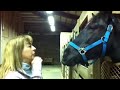 sloppy horse kisses