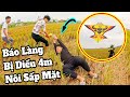 Funny Kite | Bị Troll Kéo Diều 4m Trâu Bẹn Lôi Người Rê Đồng Cực Hài Hước