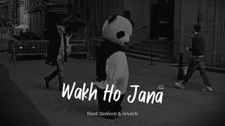 Wakh Ho Jana(slowed+reverb) | Reet