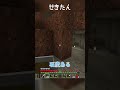 重要な石炭【マイクラ初心者サバイバル】