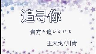 C-POP ☆ 追寻你☆（貴方を追いかけて）王天戈/川青  #CPOP日本語訳　動態歌詞 #追寻你 #王天戈/川青 #中国