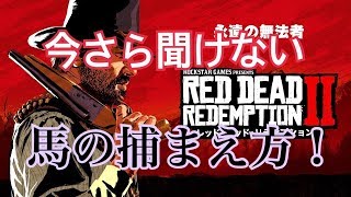 RDR２今さら聞けない馬の捕まえ方 ！（編集ススム）兵庫県三田市　鉄板ごぶりん