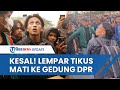 KESAL! Jefri Nichol Lempar Tikus Mati dan Payung Hitam di Depan Gedung DPR, Tolak UU Cipta Kerja