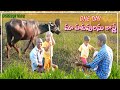 One Day Farm Life | మా గేదెలు దగ్గర ఒక రోజు | Harshith Life