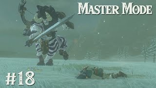 LYNEL FIGHT II: Zelda BotW MASTER MODE #18