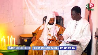 GANNDE BALEEBE THIERNO BOUBACAR CAMARA