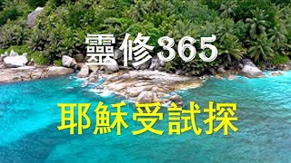 耶穌受試探【靈修365】每天陪你讀聖經｜每日靈修｜睡前禱告｜杜嘉牧師《聚焦四福音》2.21