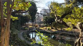 Higo Hosokawa Garden, Bunkyo City, Tokyo