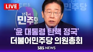 더불어민주당 의원총회 백브리핑 / SBS