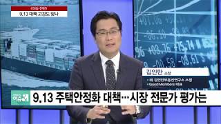 9.13 주택시장 안정대책…집값 잡힐까