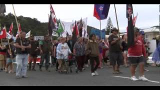 Waitangi: Marching with protestors
