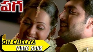 Poboke Oh Cheliya Video Song | Paga Telugu | Jayam Ravi, Bhavana | 2018 Telugu Movies