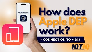 How does Apple DEP work? Tutorial on registration and connection with MobiVisor MDM | IOTIQ