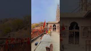 #viralvideo #sorts #banki mata temple of Devitala raisar 🙏