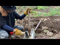 ＃4 build a dugout cabin！【bushcraft】