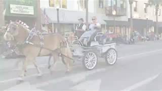 2019 Parade of Nations in Downtown Ocala