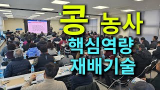 콩  농사 핵심역량 재배기술