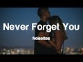 Noisettes - Never Forget You (Lyrics) | I’ll never forget you [Tiktok Song]